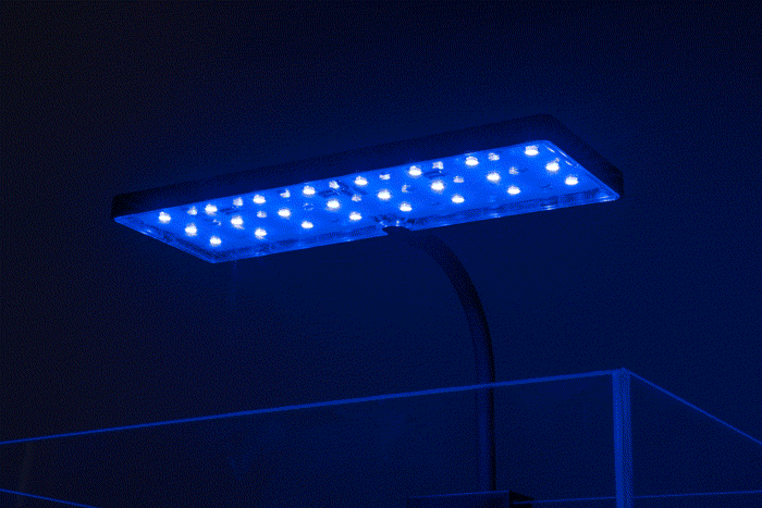 Aqua Worx EOS Nano LED Light view 3