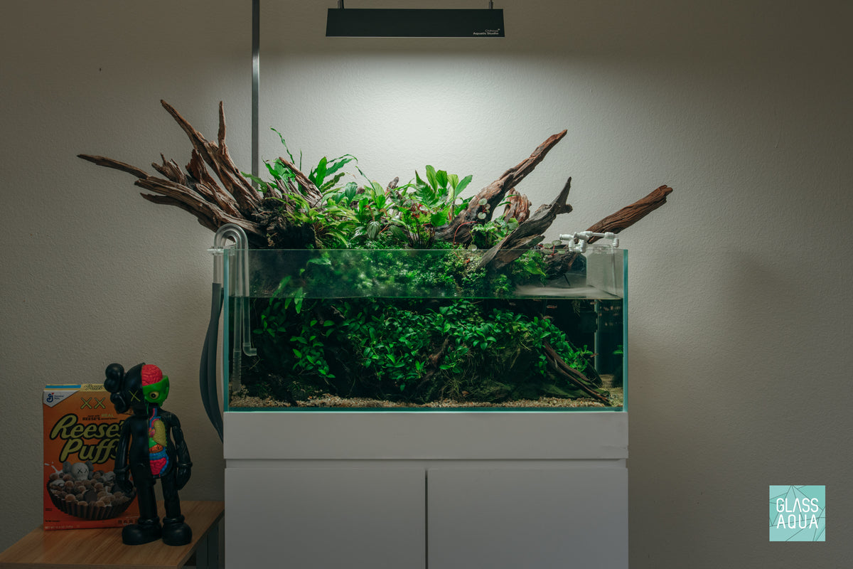 Chihiros RGB Vivid Mini Hanging Kit view 2