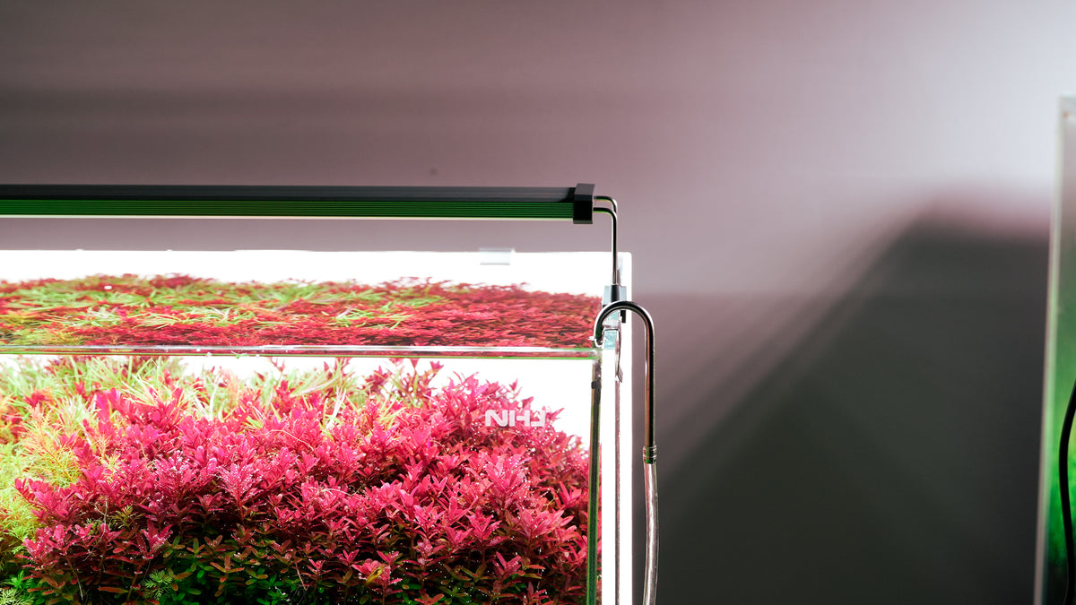 Chihiros B Series LED Aquarium Light view 2