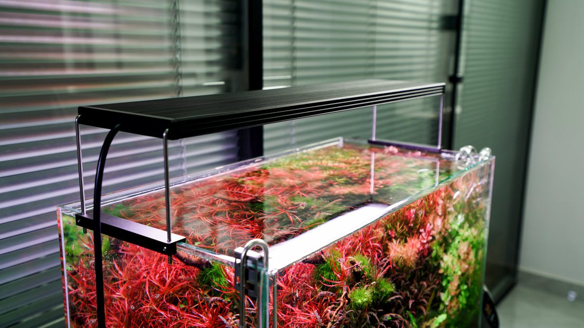 Chihiros WRGB II Pro LED Aquarium Light view 2