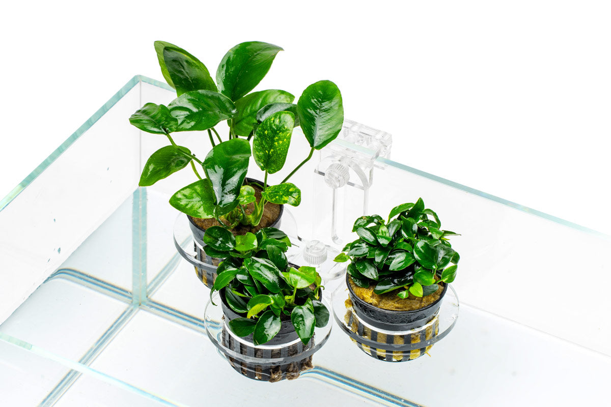 Ultum Nature Systems Hydro Pot Holder view 4