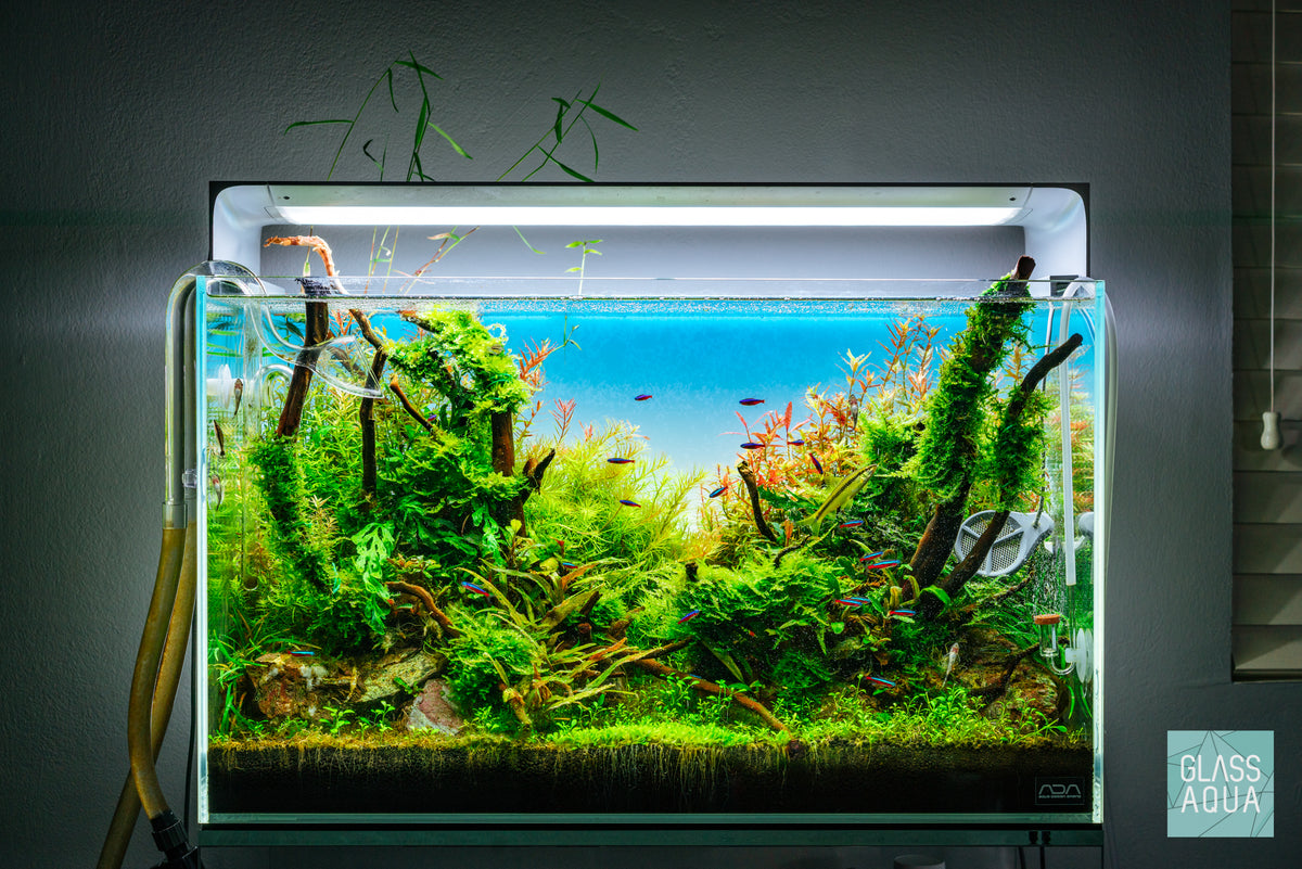 ONF Flat ONE Plus LED Light view 2