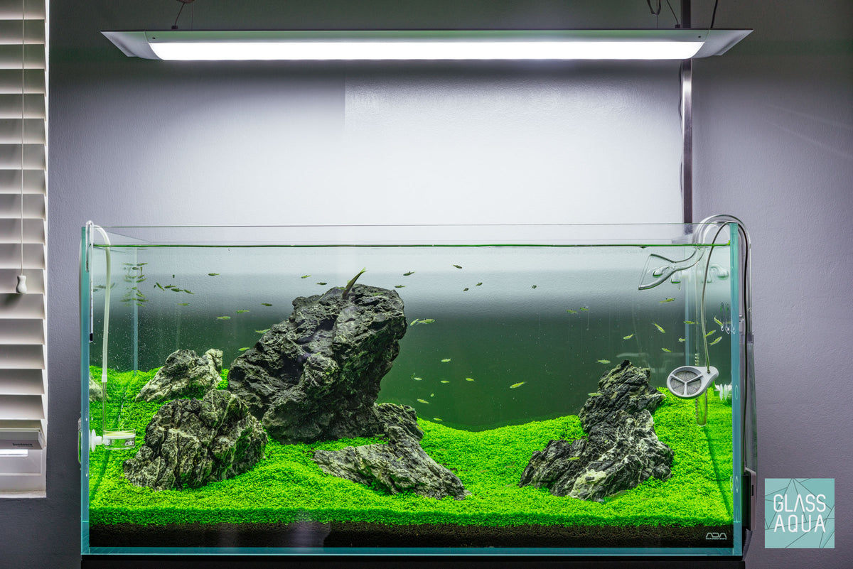 ONF Flat ONE Plus Pendant LED Light view 2