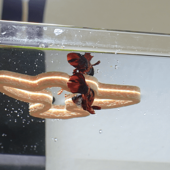 Prehistoric Nugget Floating Aquarium Ring Set view 4