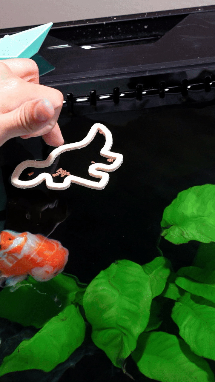Prehistoric Nugget Floating Aquarium Ring Set view 5