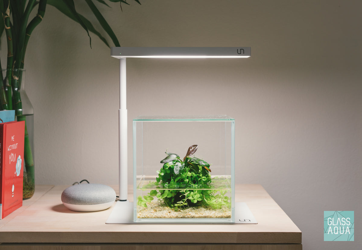 UNS Cube Glass Aquarium Lid view 3