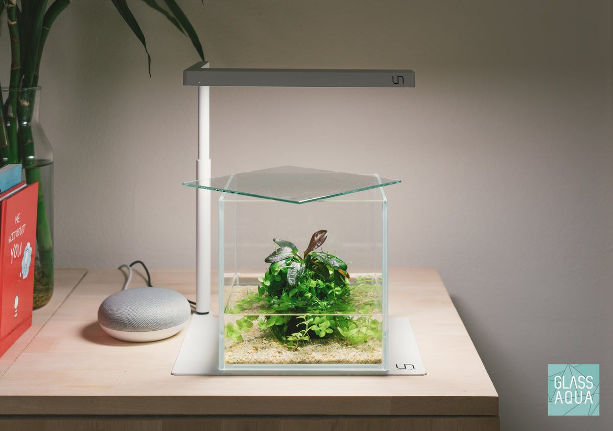 UNS Cube Glass Aquarium Lid view 5
