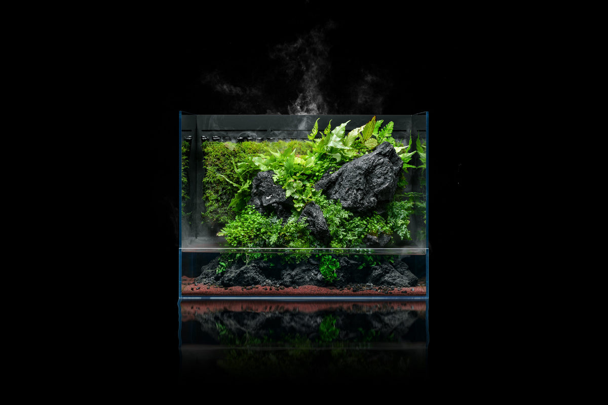 UNS Foresta 60E Integrated Paludarium view 4