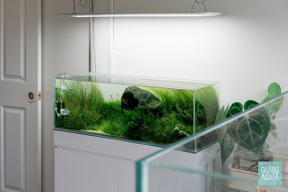 UNS Long Aquarium & Glass Lid Bundle view 3