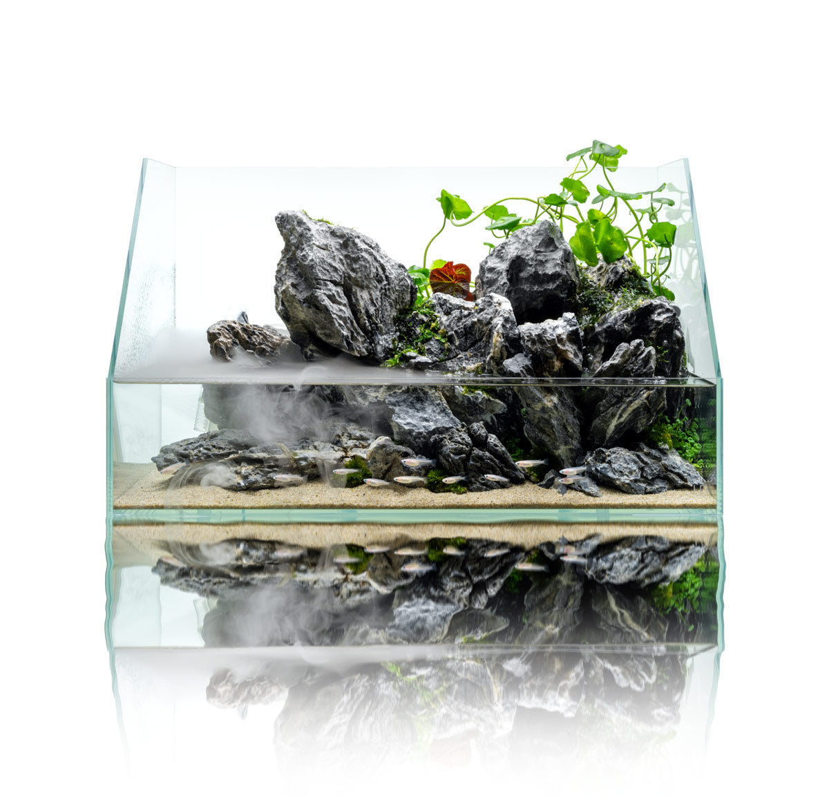 UNS Paludarium Tank System view 3