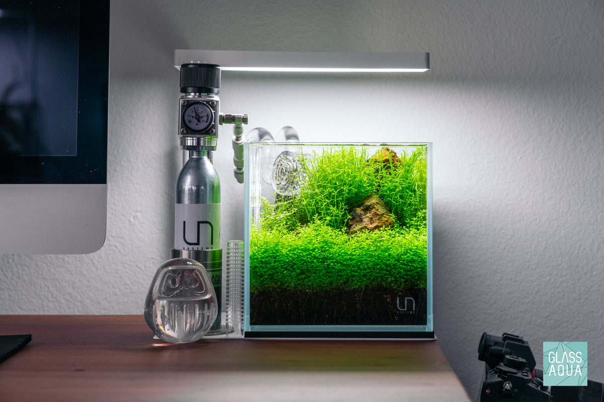 UNS Rimless Cube Glass Aquarium Tank view 2