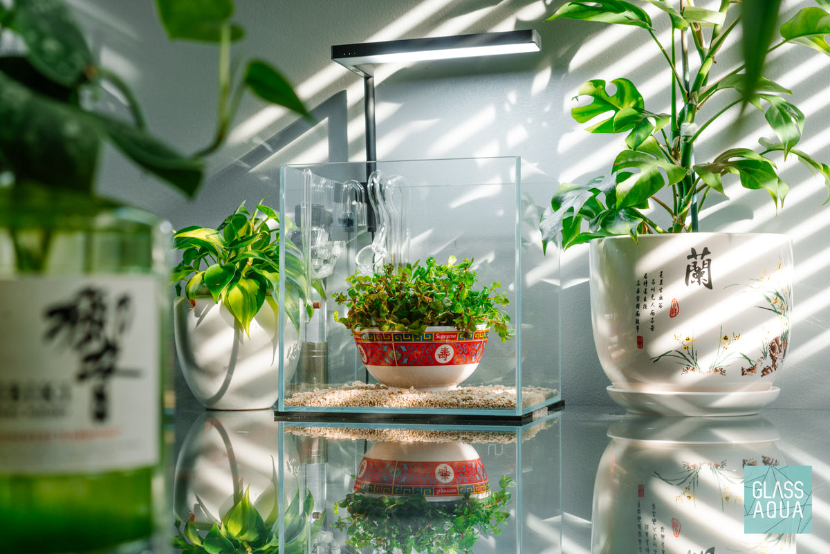 UNS Rimless Cube Glass Aquarium Tank view 3