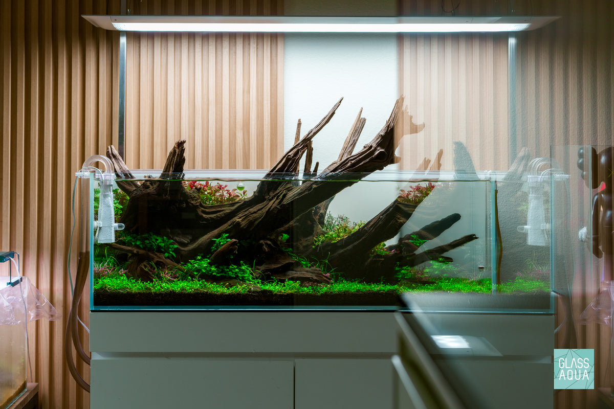 UNS Rimless Long Glass Aquarium Tank view 3