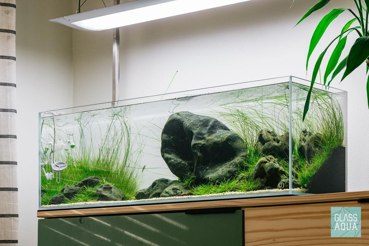 UNS Rimless Long Glass Aquarium Tank view 4
