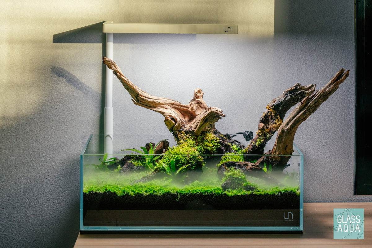 UNS Rimless Shallow Glass Aquarium Tank view 5