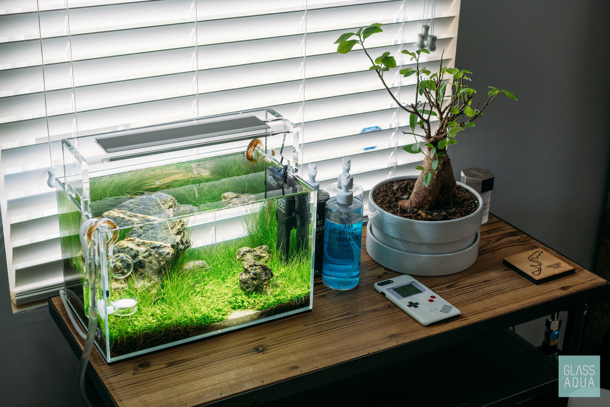 UNS Rimless Nano Glass Aquarium Tank view 2