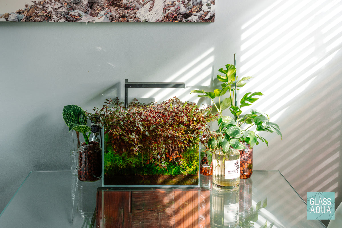 UNS Rimless Nano Glass Aquarium Tank view 3