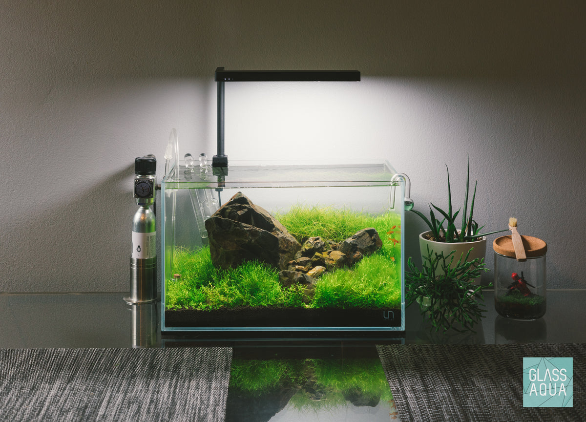 UNS Rimless Nano Glass Aquarium Tank view 4