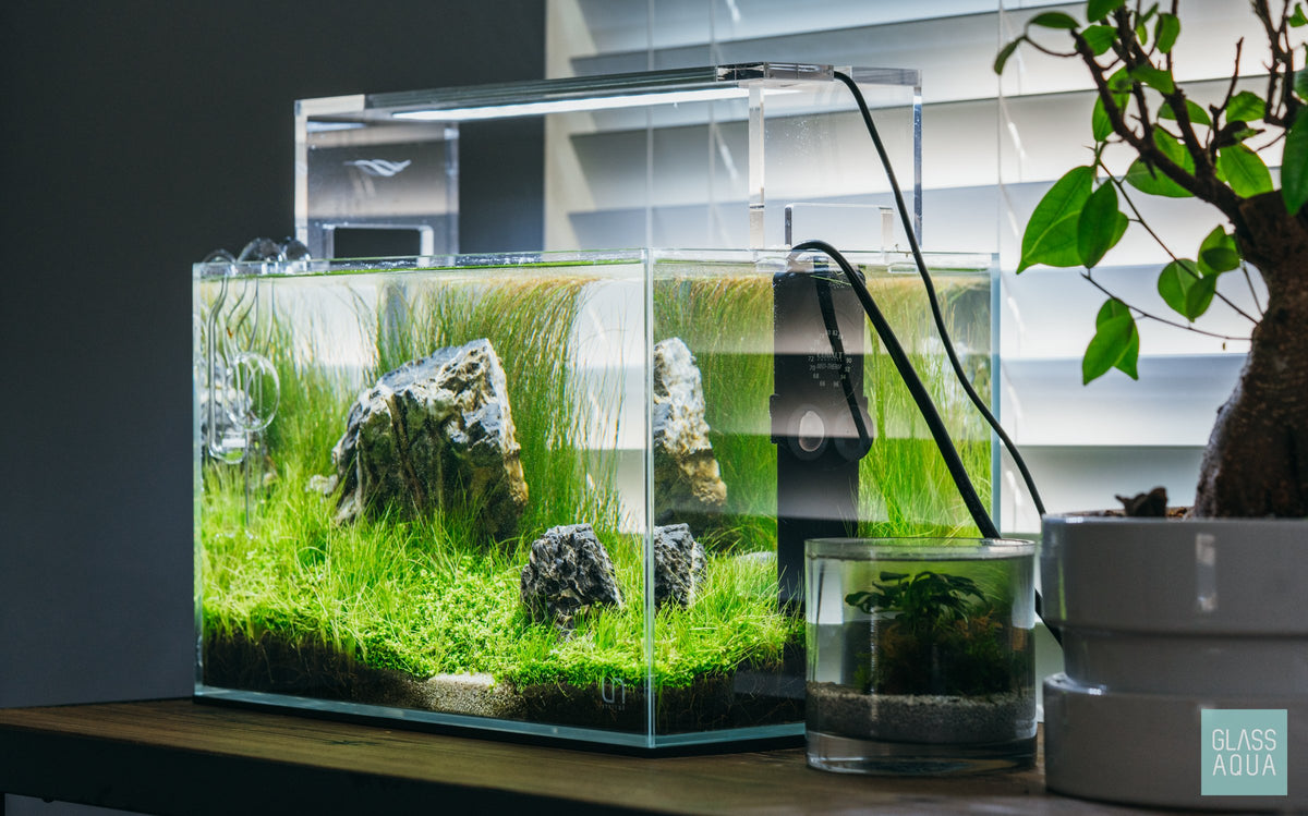 UNS Rimless Nano Glass Aquarium Tank view 5