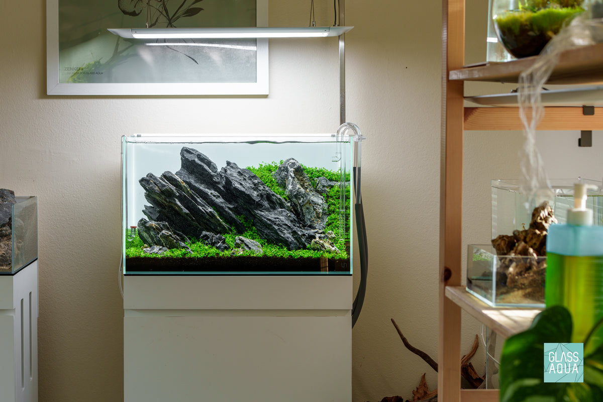 UNS Rimless Standard Glass Aquarium Tank view 2