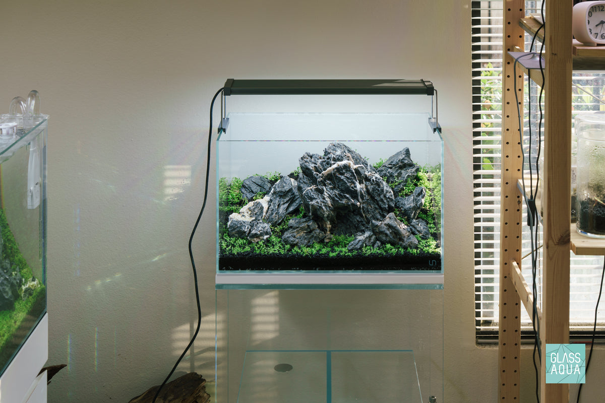 UNS Rimless Standard Glass Aquarium Tank view 3
