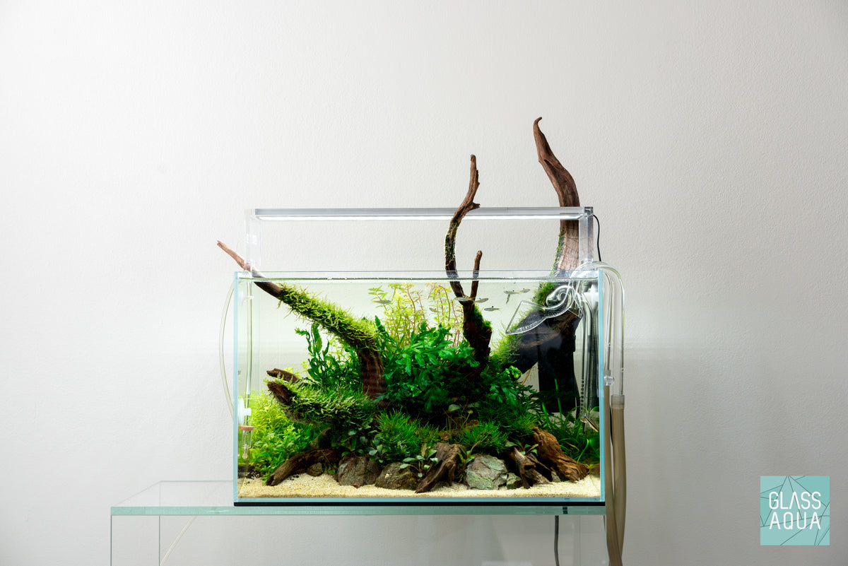 UNS Rimless Standard Glass Aquarium Tank view 4