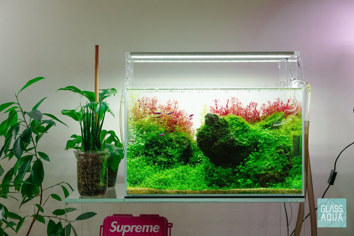 UNS Rimless Standard Glass Aquarium Tank view 5
