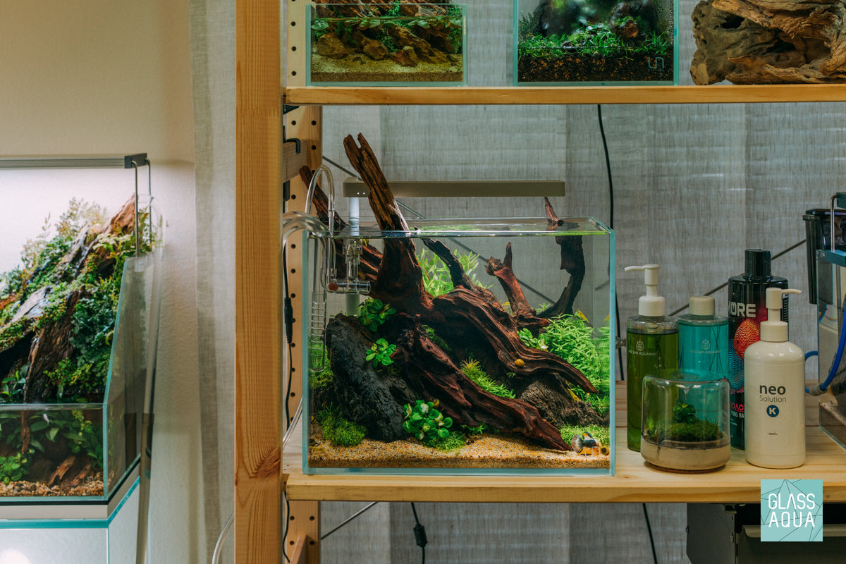 UNS Rimless Tall Glass Aquarium Tank view 2