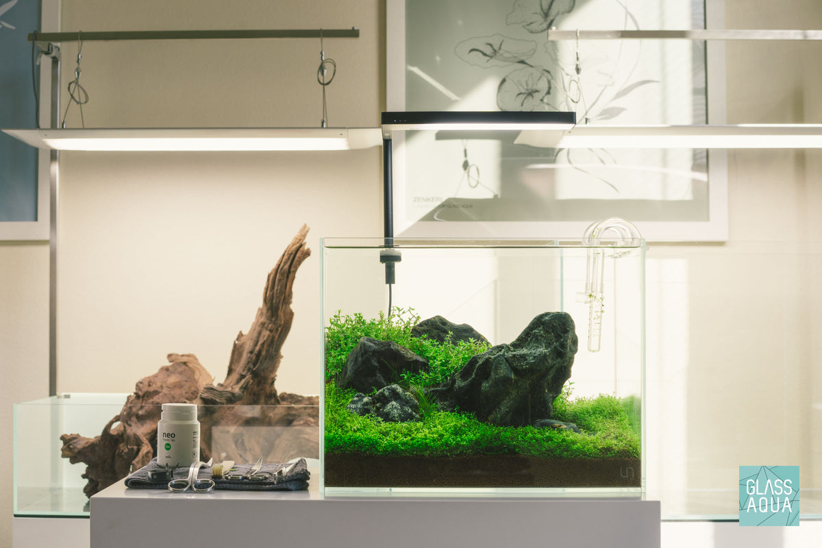 UNS Rimless Tall Glass Aquarium Tank view 3