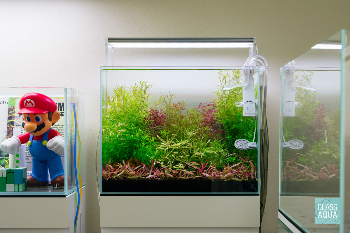UNS Rimless Tall Glass Aquarium Tank view 4