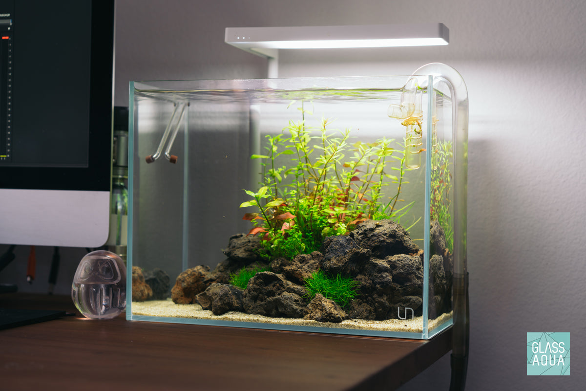 UNS Rimless Tall Glass Aquarium Tank view 5