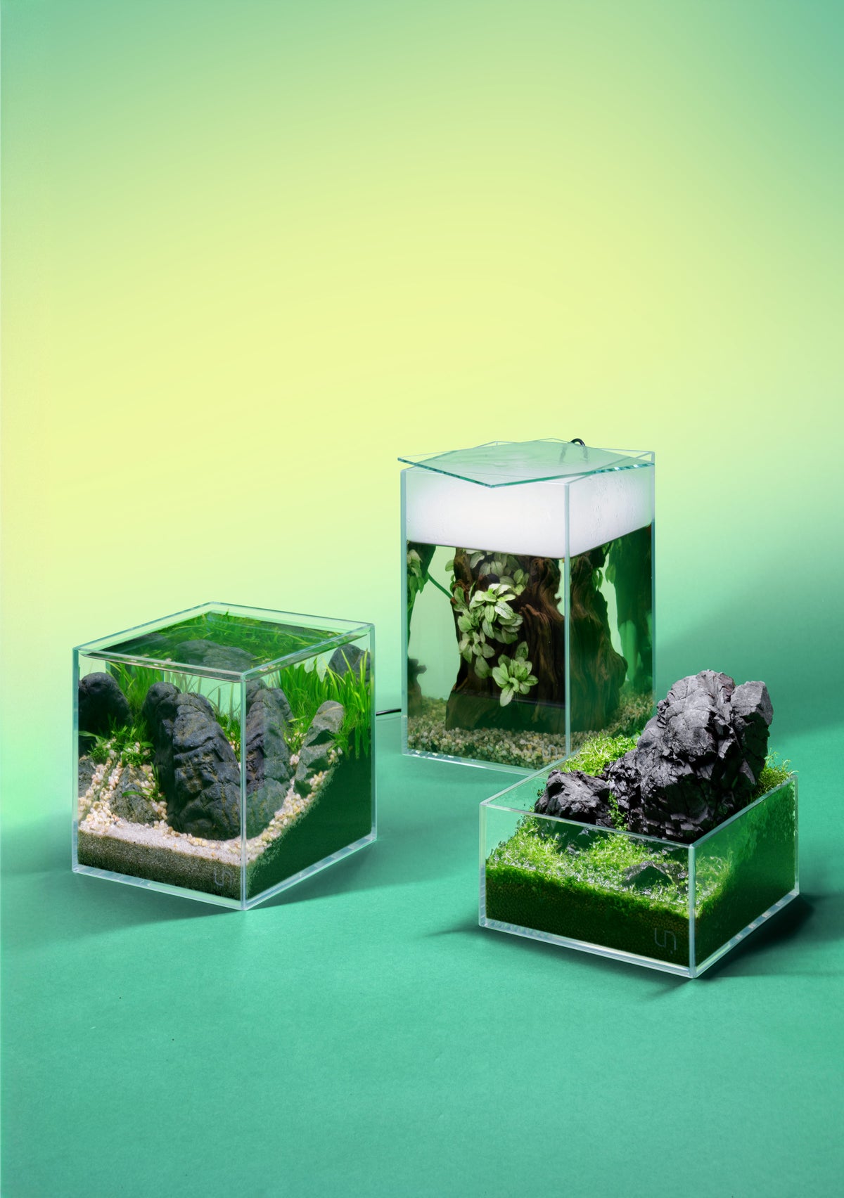 UNS Tall Aquarium & Glass Lid Bundle view 4