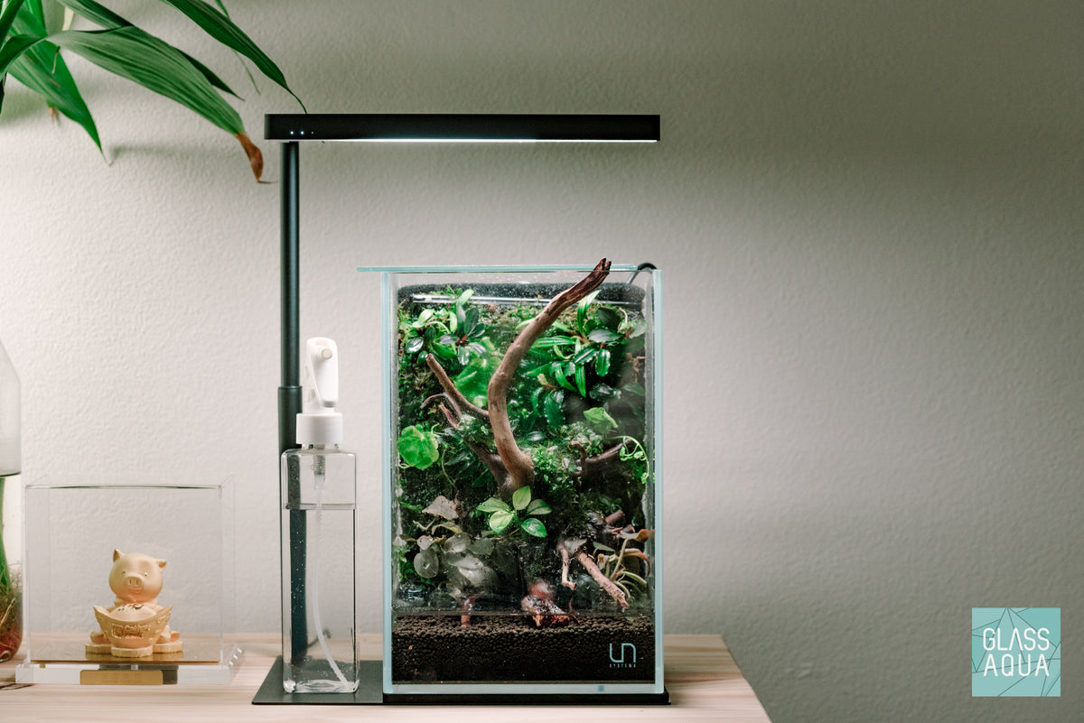 UNS Tall Aquarium & Glass Lid Bundle view 5